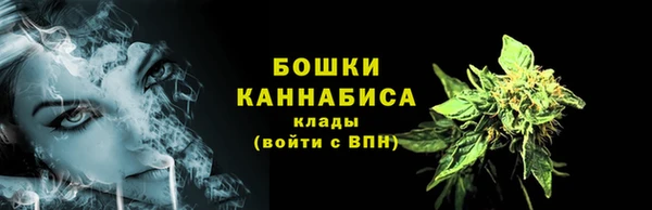 эйфоретик Бородино