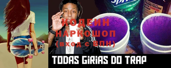 эйфоретик Бородино