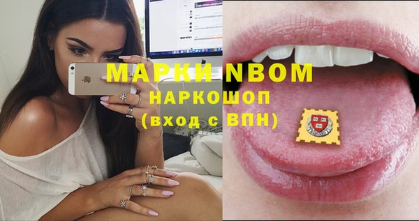 прущие грибы Бугульма